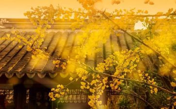 2024年物流年终工作总结优质6篇