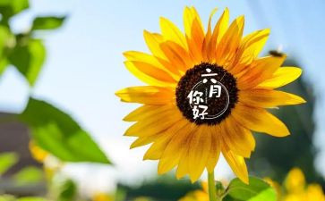 销售六月计划6篇