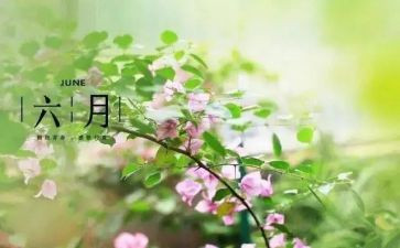 六月活动总结5篇