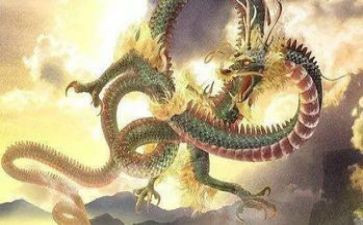 大接龙心得体会5篇