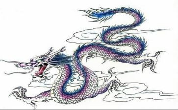 赛龙舟的心得体会6篇