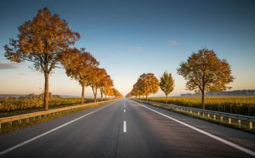 警示教育片《路》的心得体会最新6篇
