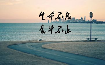 高三努力演讲稿5篇