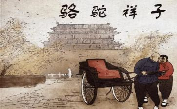 骆驼作文600字7篇