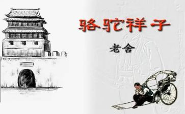 骆驼作文600字推荐6篇