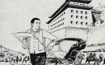 骆驼杨子读后感精选7篇