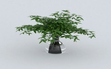 倡导绿色生活作文7篇
