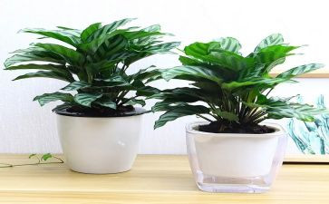 绿化施工工作总结5篇