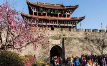 旅游心得体会范文7篇
