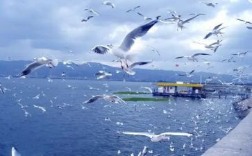 旅游管理培训心得体会5篇