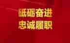 教师履职总结和工作总结优秀6篇