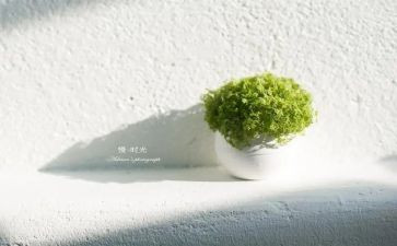 有关慢的演讲稿推荐5篇
