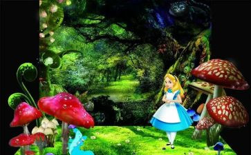 漫游的作文模板8篇