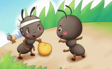 幼儿园科学小蚂蚁教案5篇