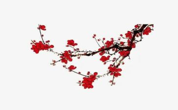 梅花作文600字精选8篇
