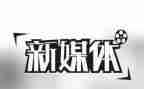 媒体工作汇报总结7篇