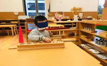 蒙氏工作月计划5篇