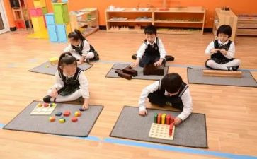 蒙氏幼儿园教学计划8篇