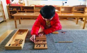 蒙氏幼儿园个人学期总结模板8篇