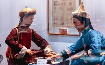 蒙医专业工作总结最新5篇