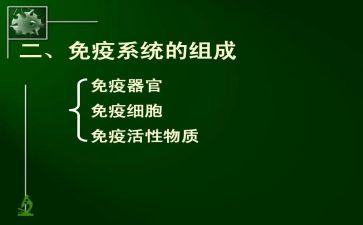 县免疫规划工作计划6篇