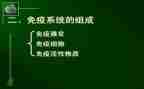 县免疫规划工作计划6篇