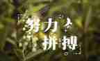名人传的读后感推荐7篇