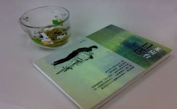 龙应台目送读后感8篇