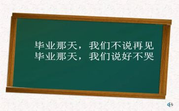 回母校活动总结8篇