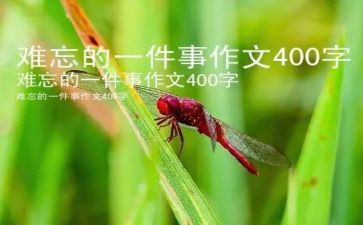 最让我难忘的一件事作文优质7篇