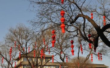 寻找年味的心得体会6篇