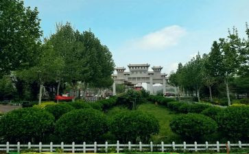 学习宁晋教师心得体会优质6篇