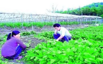 乡农技站年度工作总结5篇