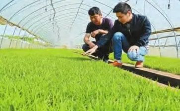 农技人员个人总结7篇