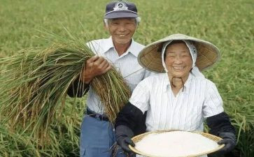 职业农民培训总结7篇