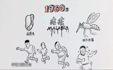 疟疾活动总结8篇