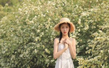 女生节工作总结优秀7篇