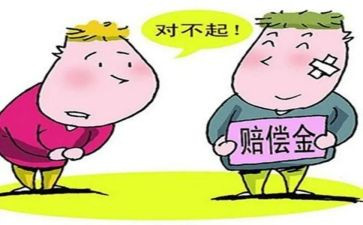 申请赔偿前的申请书6篇