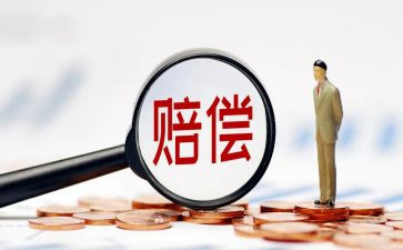 赔偿协议书的模板5篇