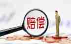 赔偿协议书的模板5篇