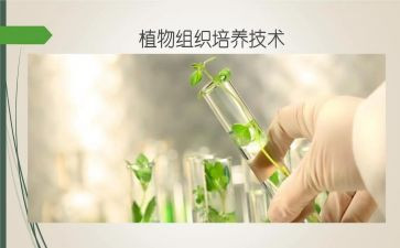 培养表自我鉴定6篇