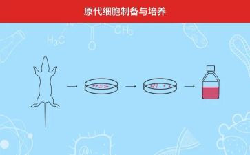 教师双培养工作总结7篇