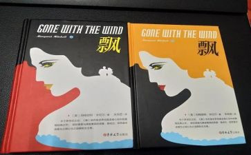 飘的心得体会100字推荐8篇