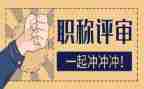 评高级教师专业技术工作总结6篇