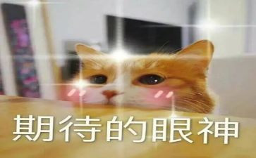 我期待作文600字精选5篇