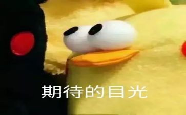 我期待的我作文优秀8篇