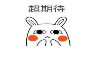我期待的我作文6篇