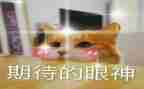 我期待作文600字精选5篇