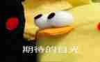 我期待的我作文优秀8篇