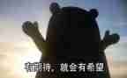期待作文800字作文8篇